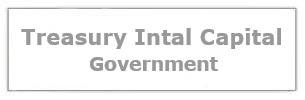 Treasury Intal Capital