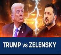 Weekly Summary
