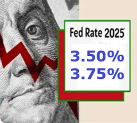 Weekly Summary